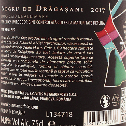 NEGRU DE DRAGASANI 2017