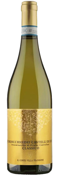 VERDICCHIO DEI CASTELLI DI JESI 2024