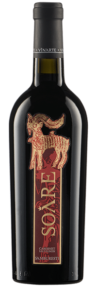 SOARE 2020 - Vinarte