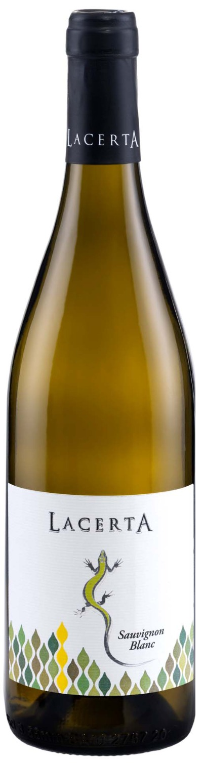 LACERTA SAUVIGNON BLANC 2025 - LacertA Winery