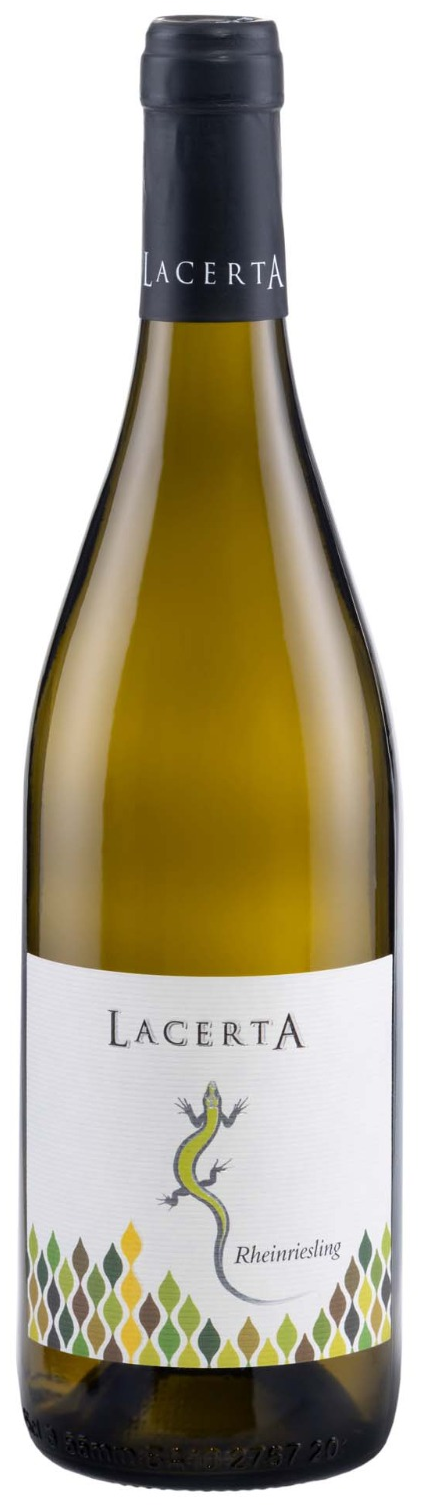 LACERTA RHEINRIESLING 2025 - LacertA Winery