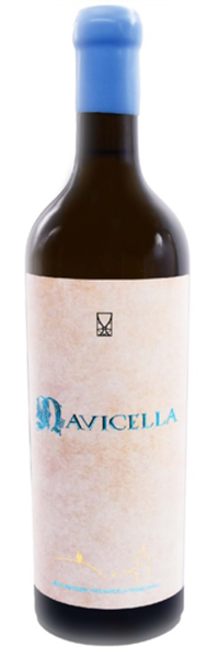 NAVICELLA ALB 2020