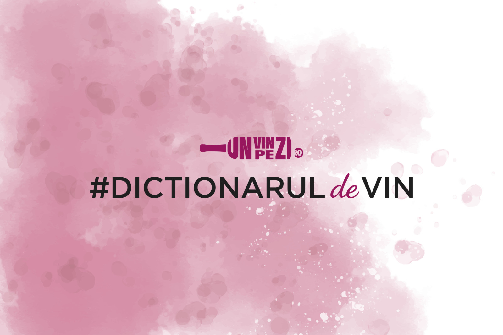 Mic dictionar al termenilor de vin