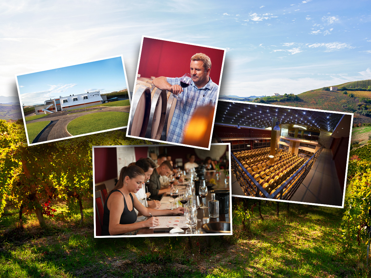 Acasă la Vin ajunge la ediția a VII-a: Unvinpezi.ro continuă să susțină cramele românești prin experiențe premium dedicate iubitorilor de vin