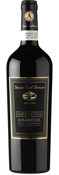 AMARONE CAMPO DEI GIGLI 2013