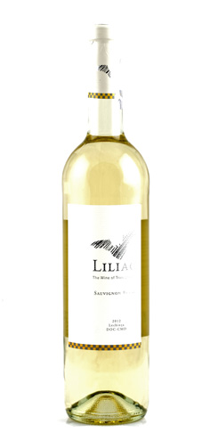 SAUVIGNON BLANC 2019-Liliac