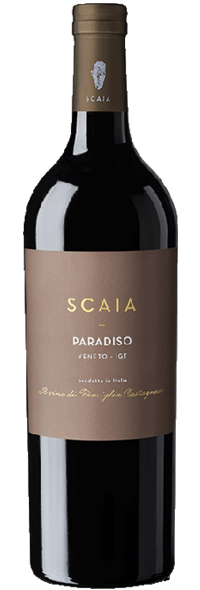 SCAIA PARADISO 2017-Sant Antonio