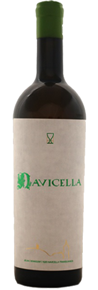 NAVICELLA ALB 2019