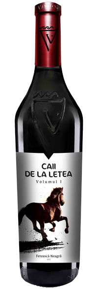 CAII DE LA LETEA FETEASCA NEAGRA 2018 VOL. I
