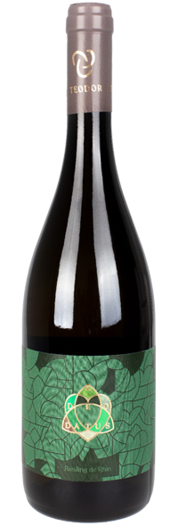 ADEODATUS RIESLING DE RHIN 2020-