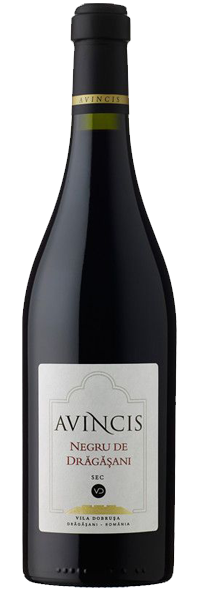 NEGRU DE DRAGASANI 2016 MAGNUM