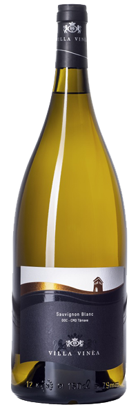 SAUVIGNON BLANC MAGNUM 2019