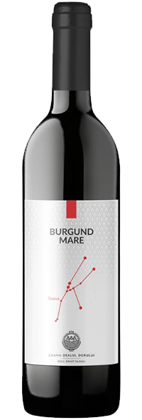 ZODIAC BURGUND MARE 2017-