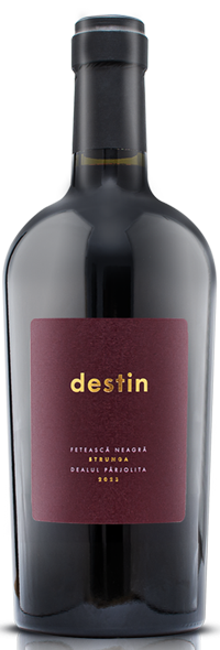 DESTIN 2023