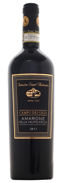 AMARONE CAMPO DEI GIGLI 2011