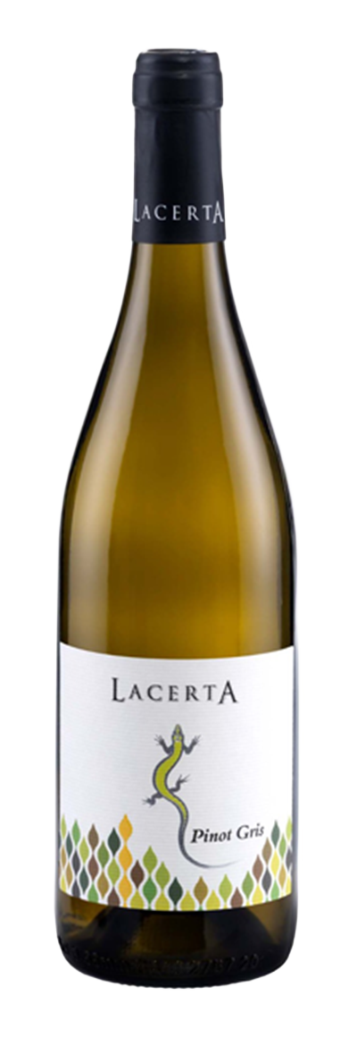 LACERTA PINOT GRIS 2025