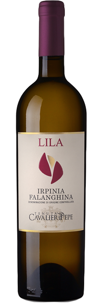LILA IRPINIA FALANGHINA 2025