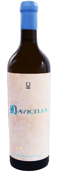 NAVICELLA ALB 2024