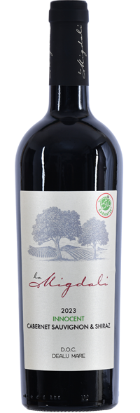 INNOCENT 2023